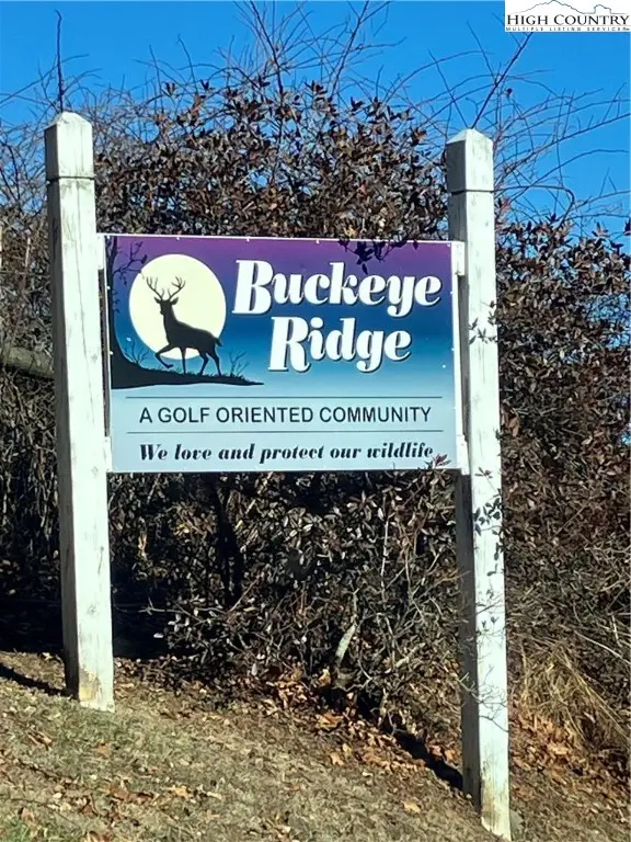 TBD Buckeye Ridge, Sparta, NC 28675 - Image #2