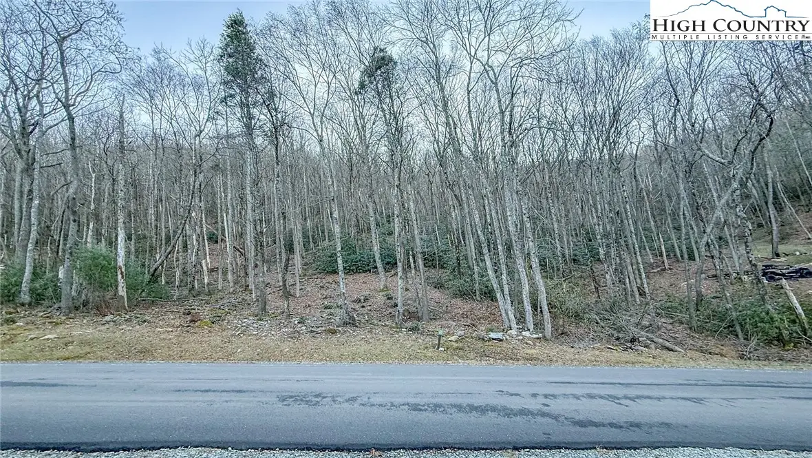 TBD Lot 61 Wildcat Wilderness Parkway, Deep Gap, NC 28618 - Image #1