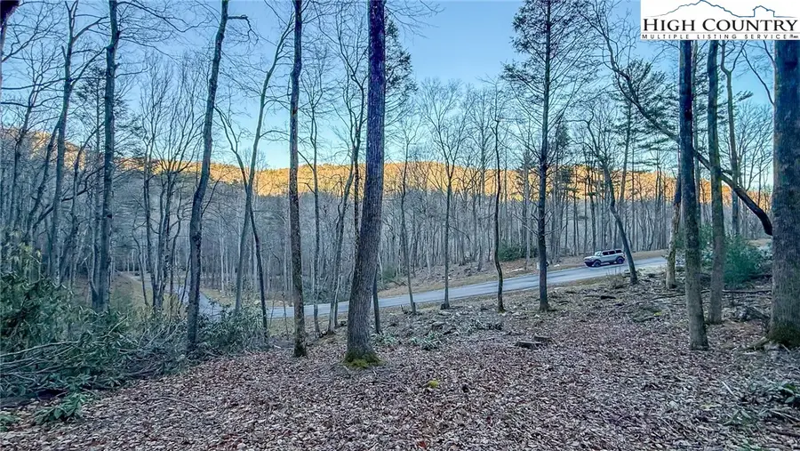 TBD Lot 61 Wildcat Wilderness Parkway, Deep Gap, NC 28618 - Image #2