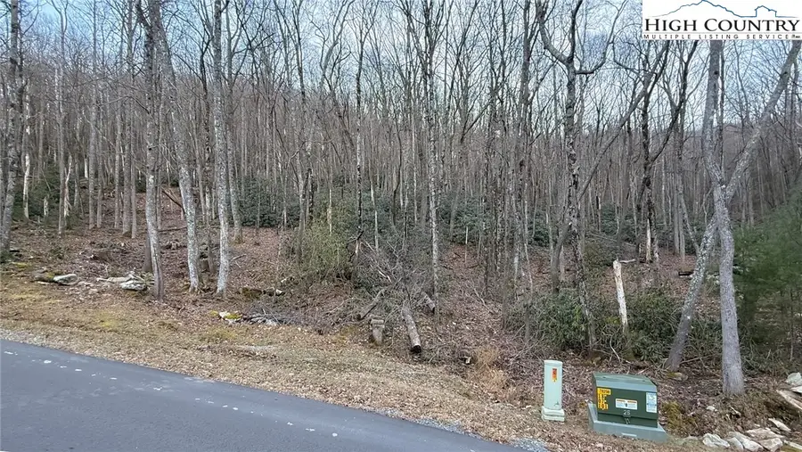 TBD Lot 61 Wildcat Wilderness Parkway, Deep Gap, NC 28618 - Image #3