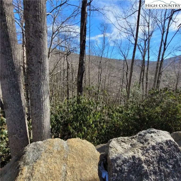 253 Poplar Road, Beech Mountain, NC 28604 - Image #3