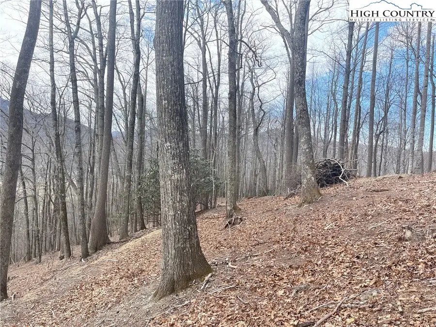 13 Jackson Ridge Road, Boone, NC 28607 - Image #2