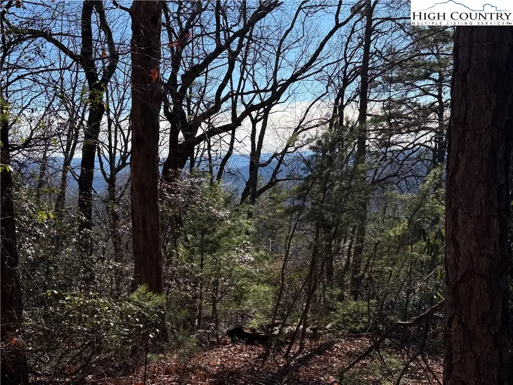 Lot 27 Bobcat Mountain Road, Purlear, NC 28665 - Image #1