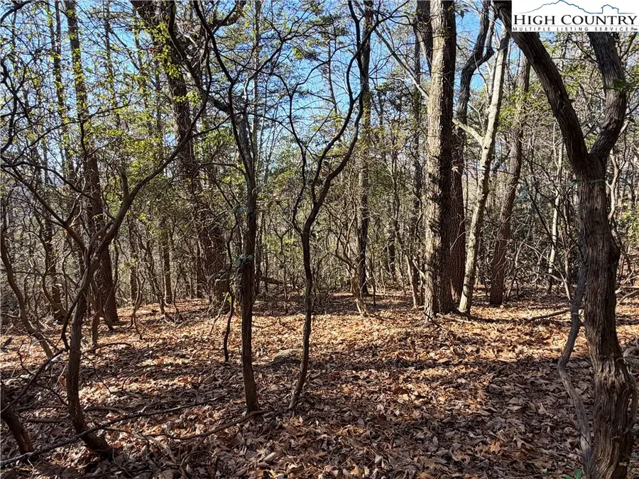 Lot 27 Bobcat Mountain Road, Purlear, NC 28665 - Image #2
