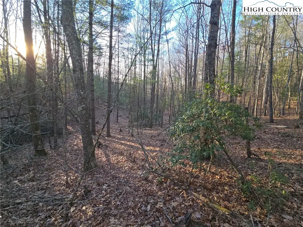 TBD Peck Peak Rd, Jefferson, NC 28640 - Image #1