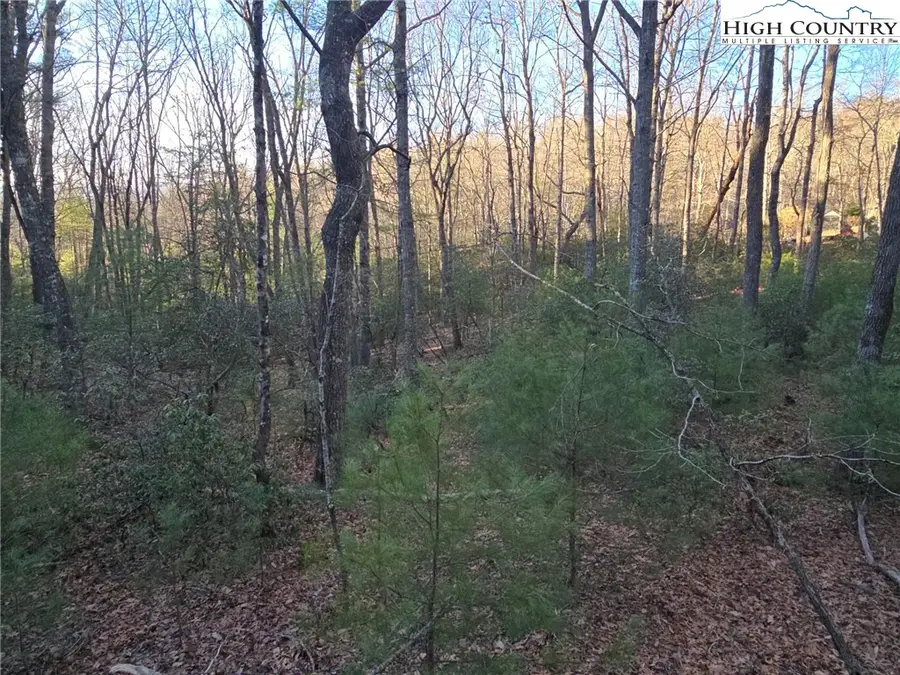 TBD Peck Peak Rd, Jefferson, NC 28640 - Image #2