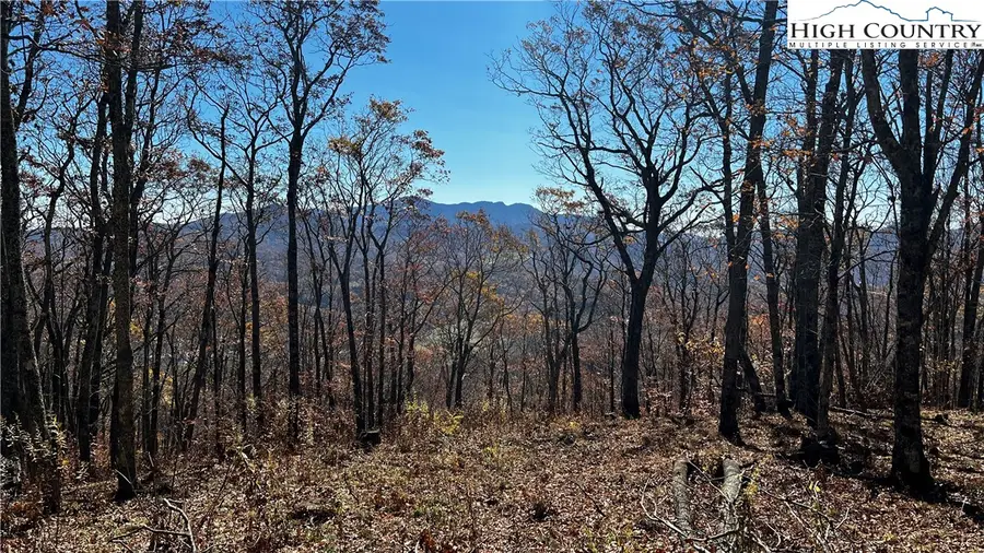 Lot 2 Chappell Farm Road, Banner Elk, NC 28604 - Image #3