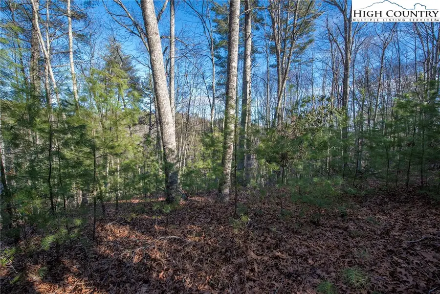 TBD Prime Circle, Piney Creek, NC 28663 - Image #3