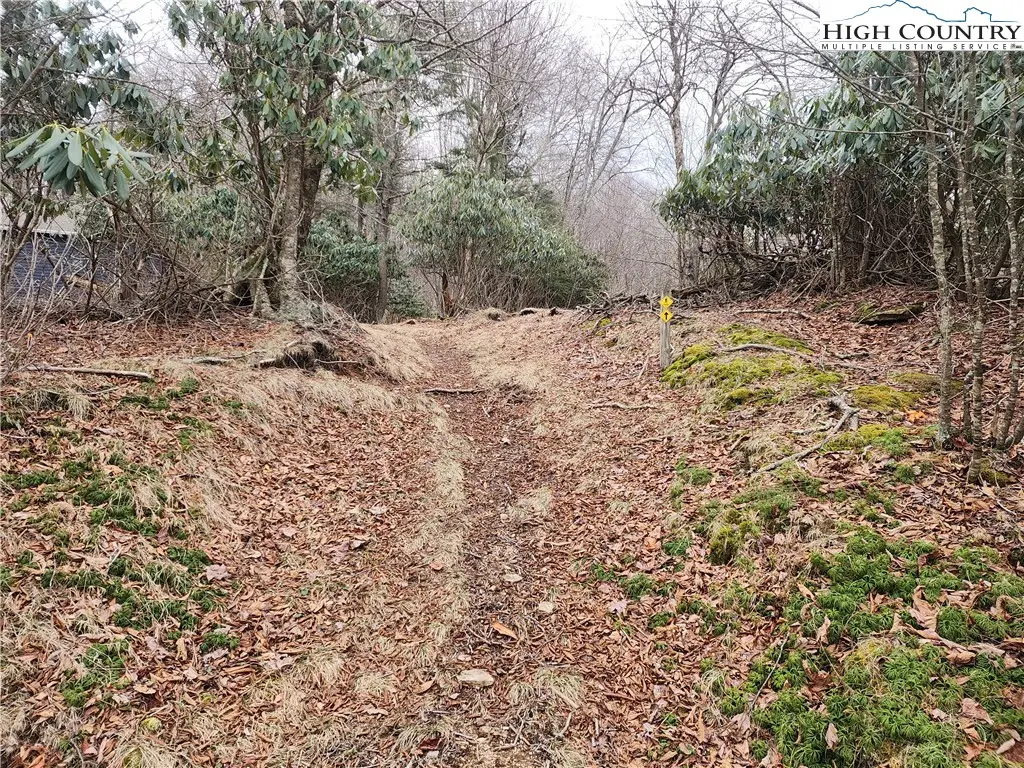 TBD Staghorn Hollow, Beech Mountain, NC 28604 - Image #1