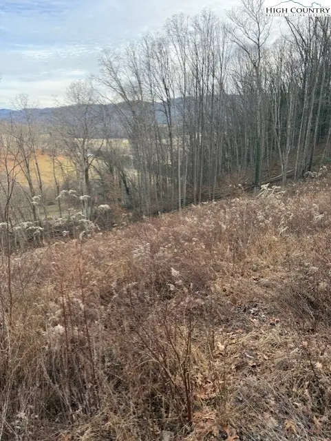 TBD Mining Ridge Road, Mountain City, TN 37683 - Image #3