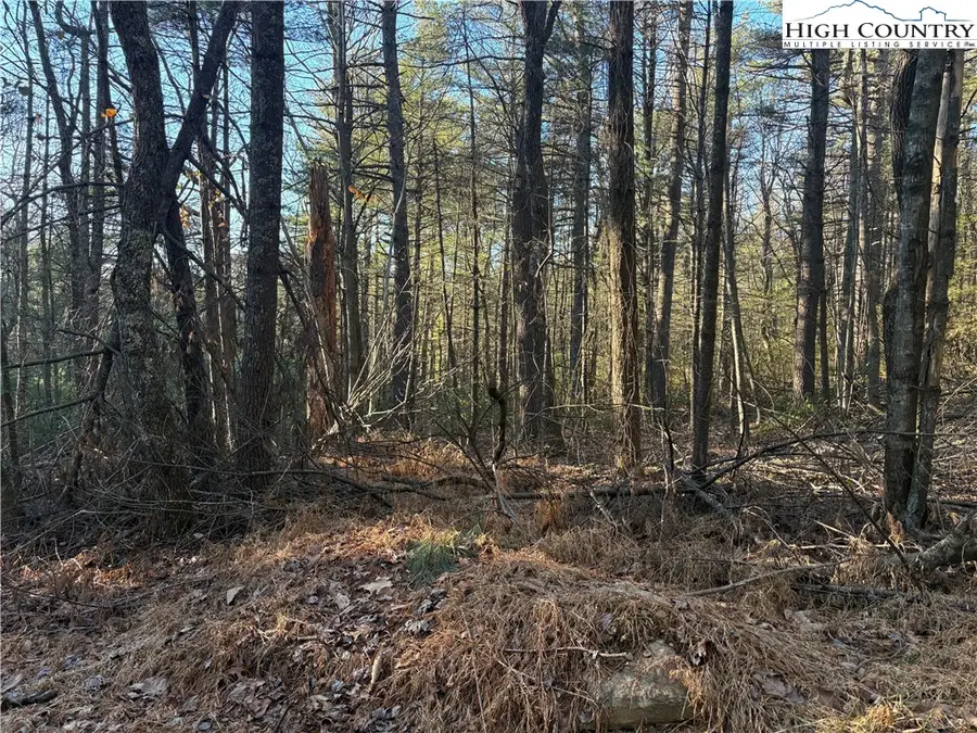 Lot #24 Eagles Nest Lane, Glade Valley, NC 28627 - Image #2