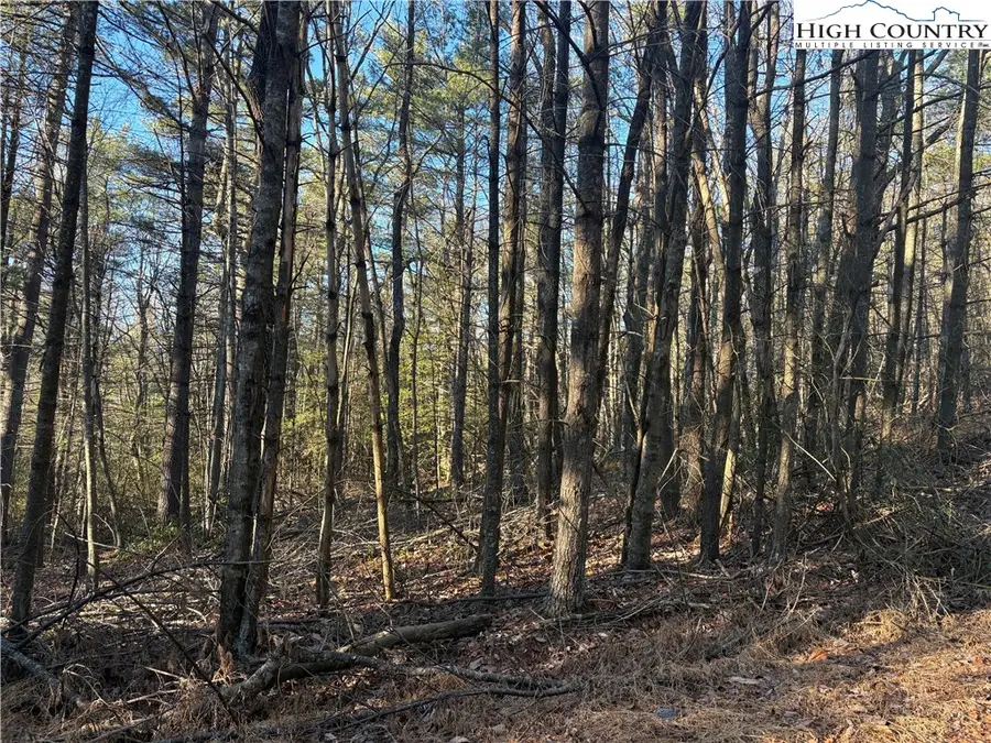 Lot #24 Eagles Nest Lane, Glade Valley, NC 28627 - Image #3