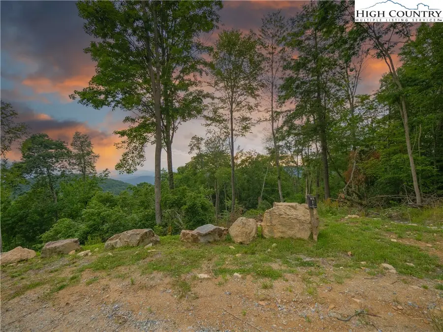 WR1 Sierra Trail, Elk Park, NC 28622 - #2
