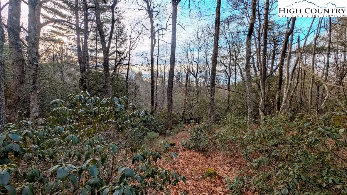 Lot 29 Walden Lane, West Jefferson, NC 28694 - Image #1