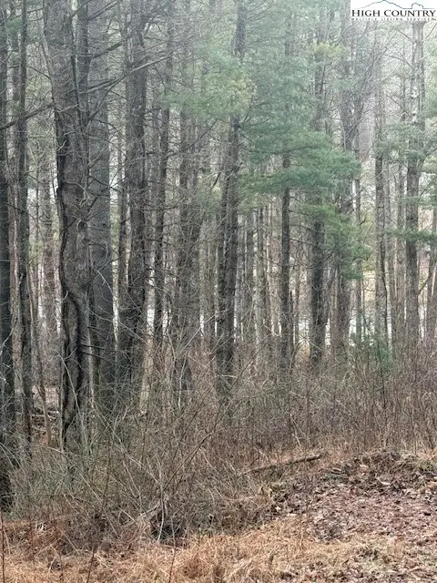 TBD Lot 468 Skyline Road, West Jefferson, NC 28694 - Image #2