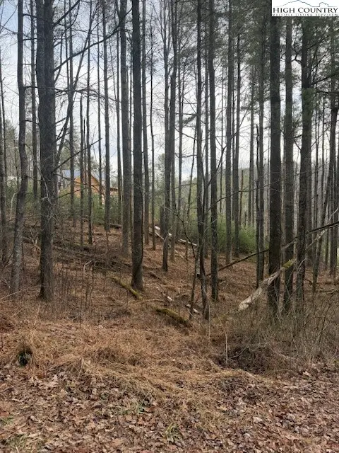 TBD Lot 468 Skyline Road, West Jefferson, NC 28694 - Image #3