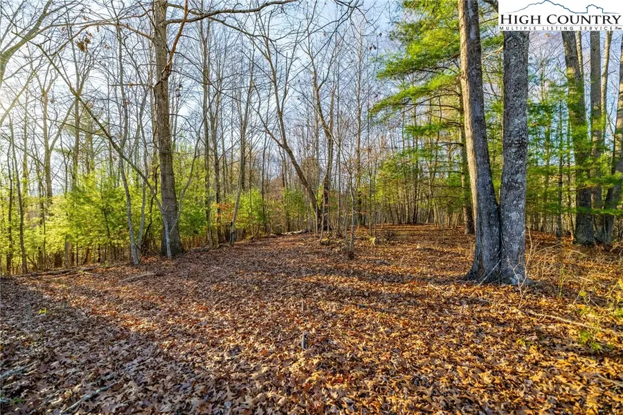 TBD Hwy 221 S, Fleetwood, NC 28626 - Image #2