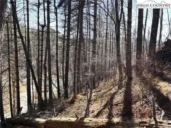 Lot 16 Woodlands Drive, Piney Creek, NC 28663