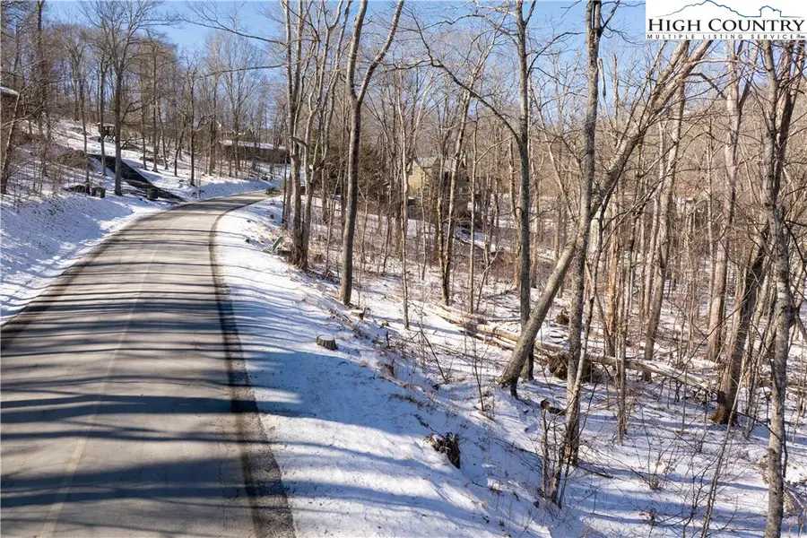 Lot 160 (TBD) Grouse Moor Dr, Sugar Mountain, NC 28604 - Image #3