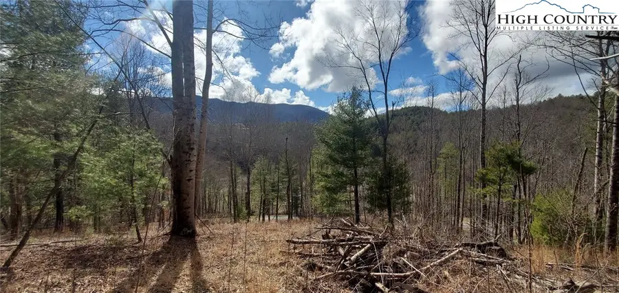 Lot 3 Venue Views Drive, Lansing, NC 28643 - Image #2