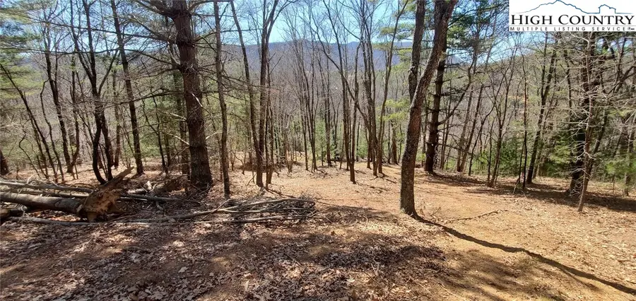 Lot 3 Venue Views Drive, Lansing, NC 28643 - Image #3