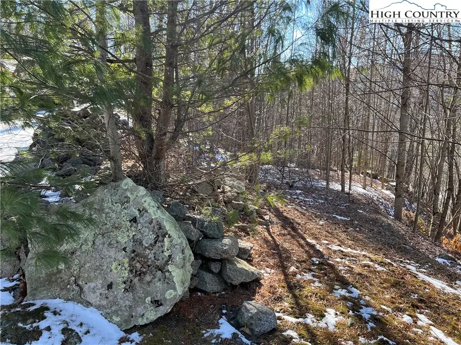 349 Hump View Trail, Banner Elk, NC 28604 - Image #2