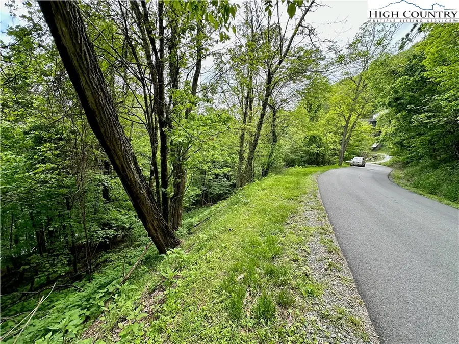 TBD Alpine Drive, Seven Devils, NC 28604 - Image #2