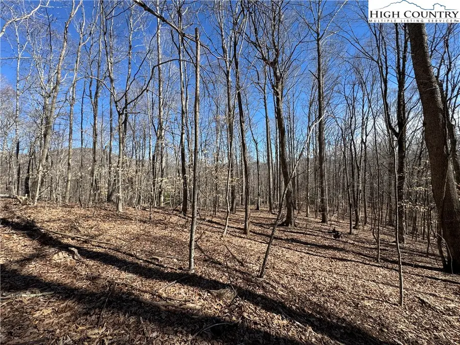 82 +/- Acres Double Head Mountain Road, Newland, NC 28657 - Image #2