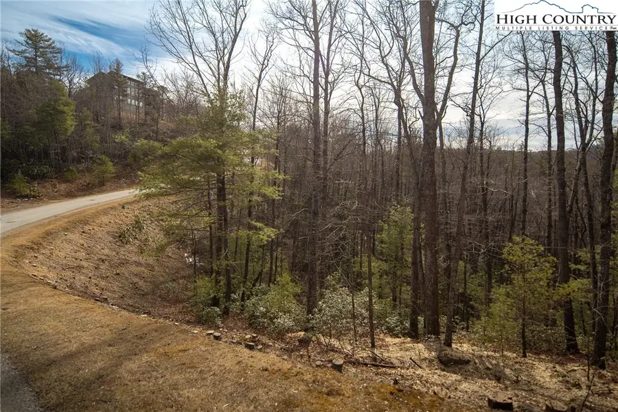 1255 Reynolds Parkway, Boone, NC 28607 - #2