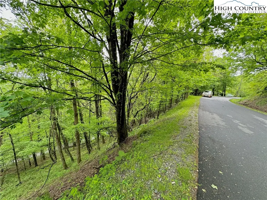 TBD Alpine Drive, Seven Devils, NC 28604 - #2