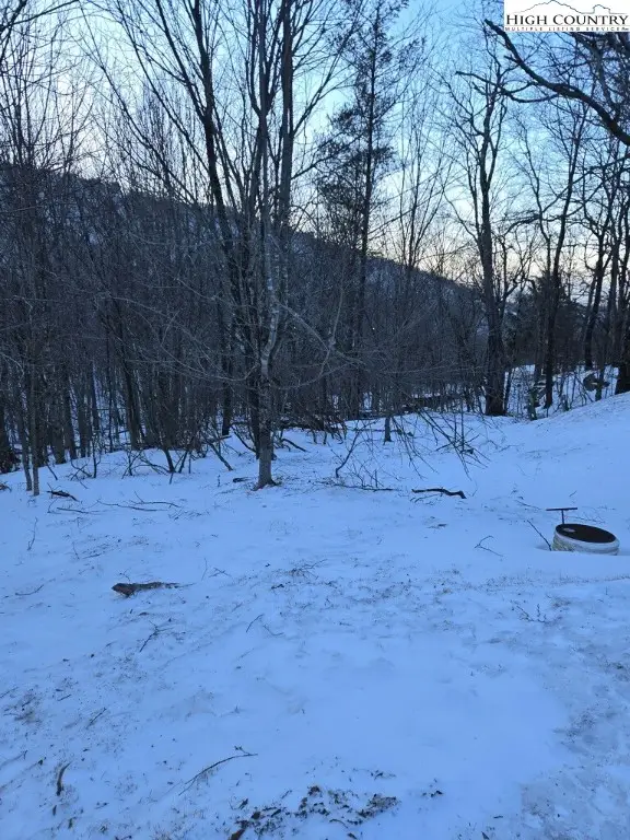 103 Snowplow Lane, Beech Mountain, NC 28604 - Image #2
