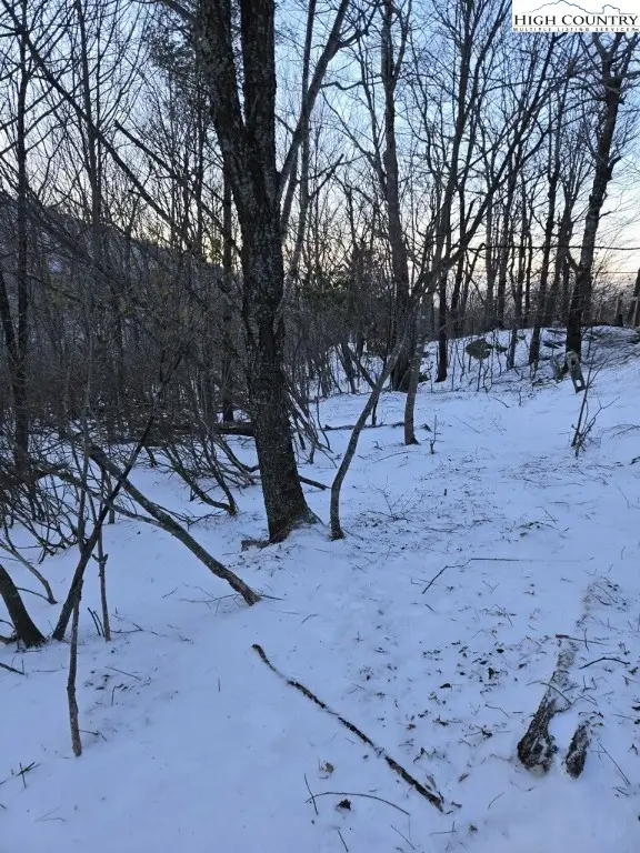 103 Snowplow Lane, Beech Mountain, NC 28604 - Image #3