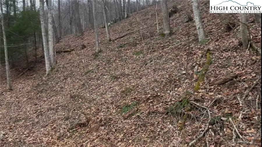 TBD Martinez Road, Crumpler, NC 28617 - Image #3