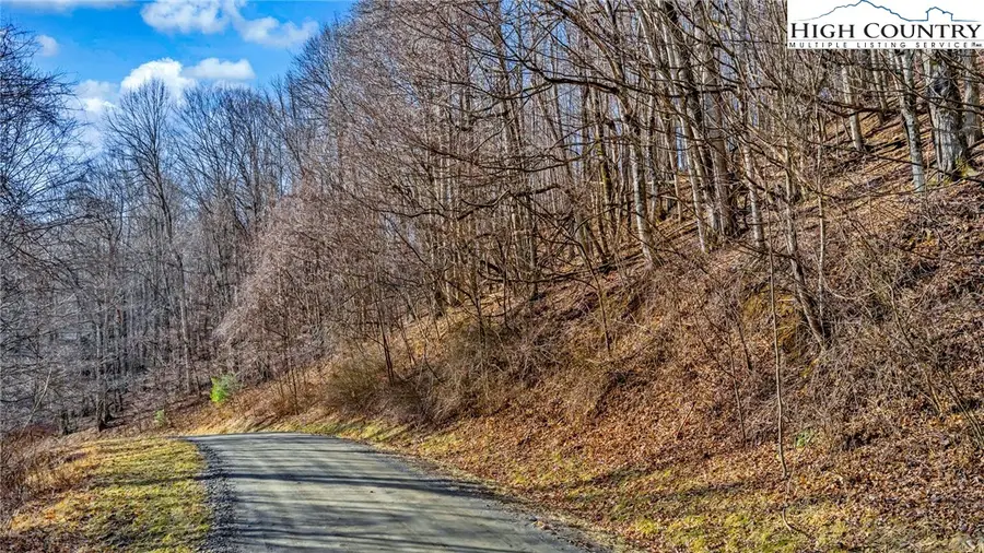 TBD- 10 Townview Street, West Jefferson, NC 28694 - #2
