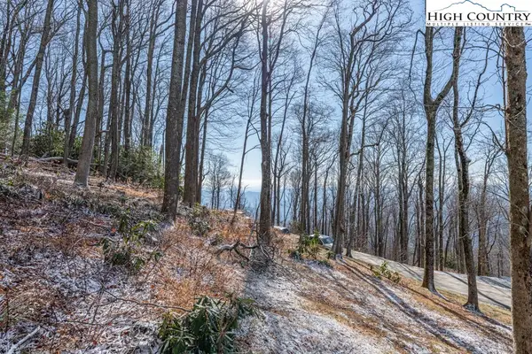 Lot 9 High Hemlock Trail, Blowing Rock, NC 28605
