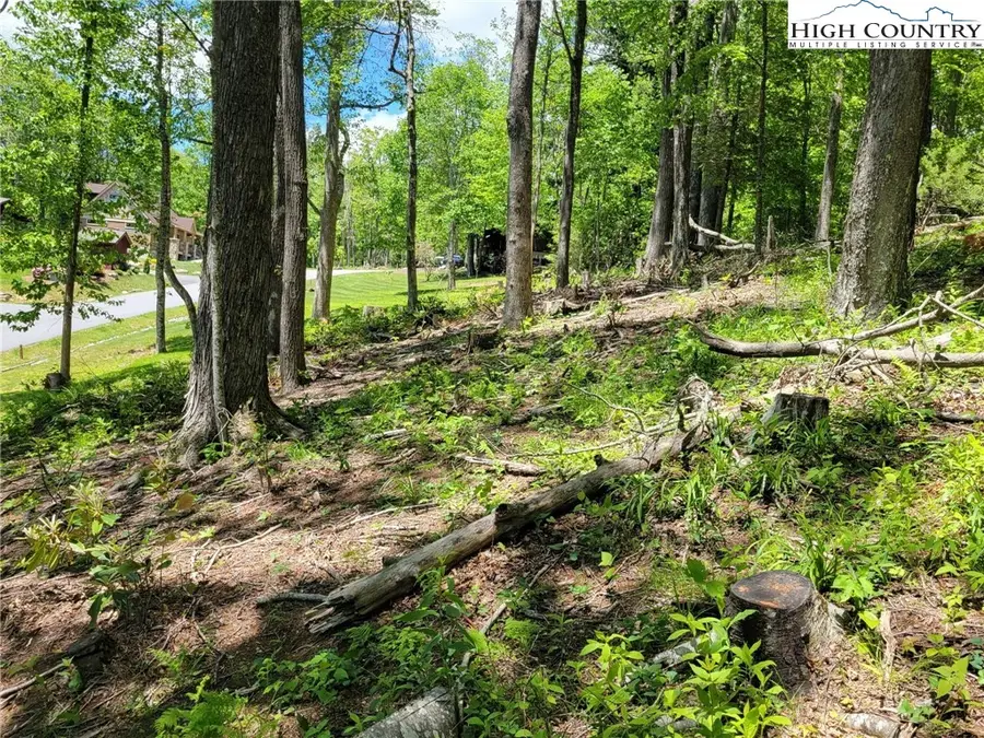 Lot 9 High Hemlock Trail, Blowing Rock, NC 28605 - #2