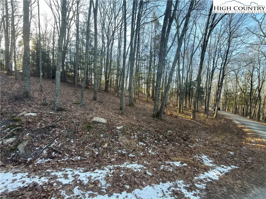 TBD Linwood Lane, Newland, NC 28657 - Image #2