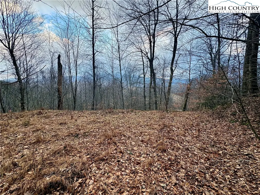 Lot 27 Wren Cove Lane, Vilas, NC 28692 - Image #1