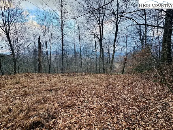 Lot 27 Wren Cove Lane, Vilas, NC 28692