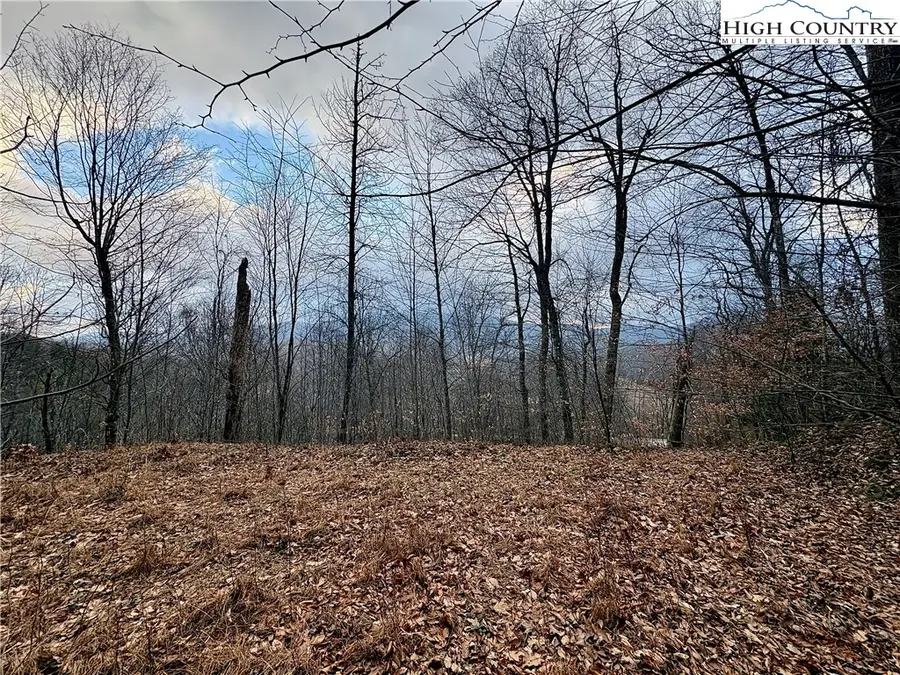 Lot 27 Wren Cove Lane, Vilas, NC 28692 - Image #2