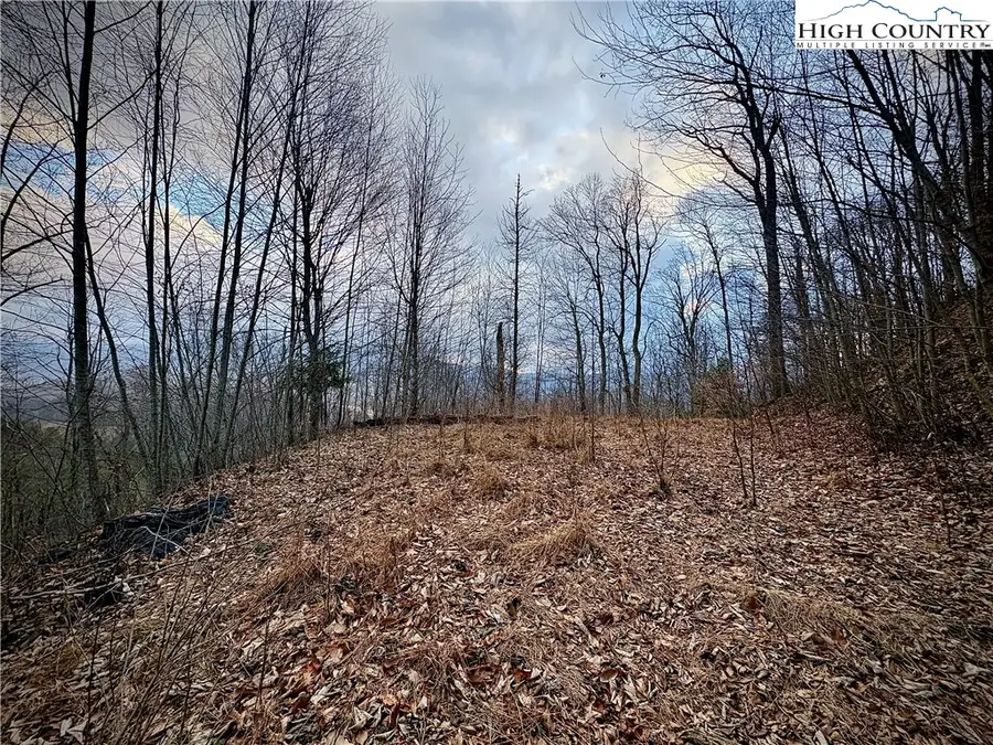 Lot 27 Wren Cove Lane, Vilas, NC 28692 - Image #3