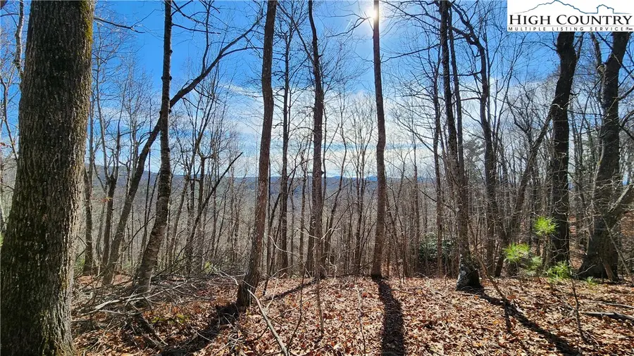 Tbd Chinquapin Springs, Newland, NC 28657 - #2