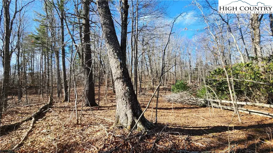 Tbd Chinquapin Springs, Newland, NC 28657 - #3