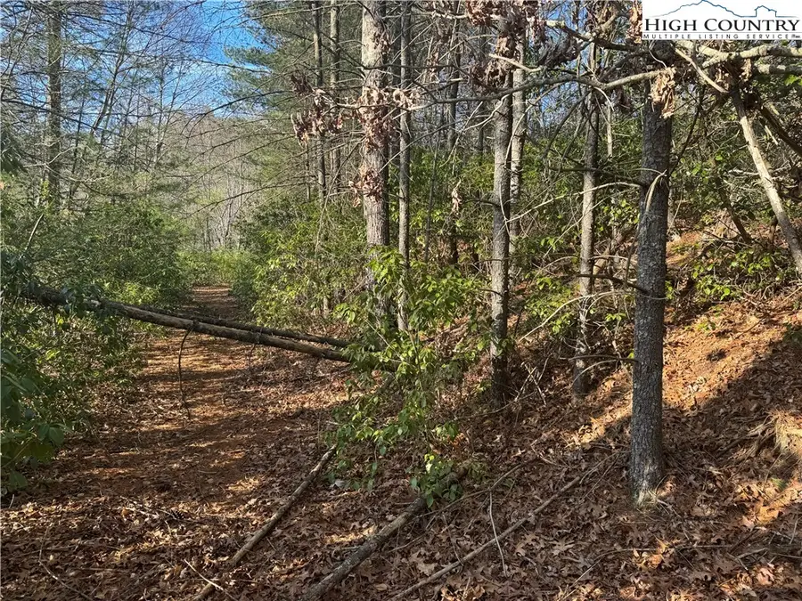 TBD Liberty Court Drive, West Jefferson, NC 28694 - #2