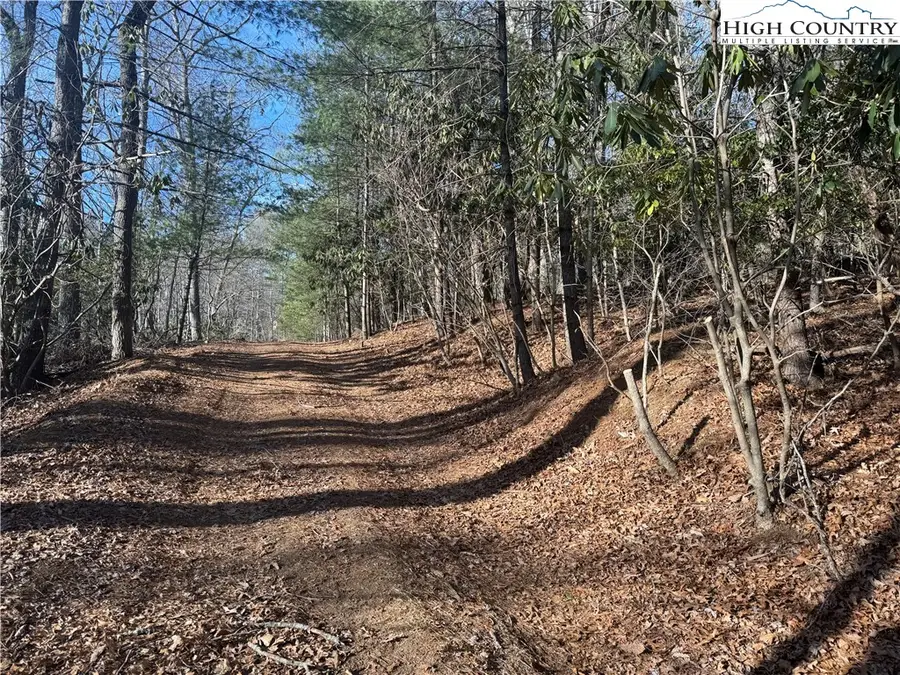 TBD Seventy Sixth Drive, West Jefferson, NC 28694 - #2