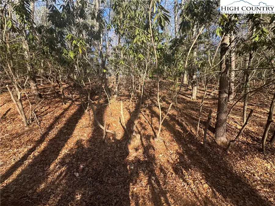 TBD Seventy Sixth Drive, West Jefferson, NC 28694 - #3