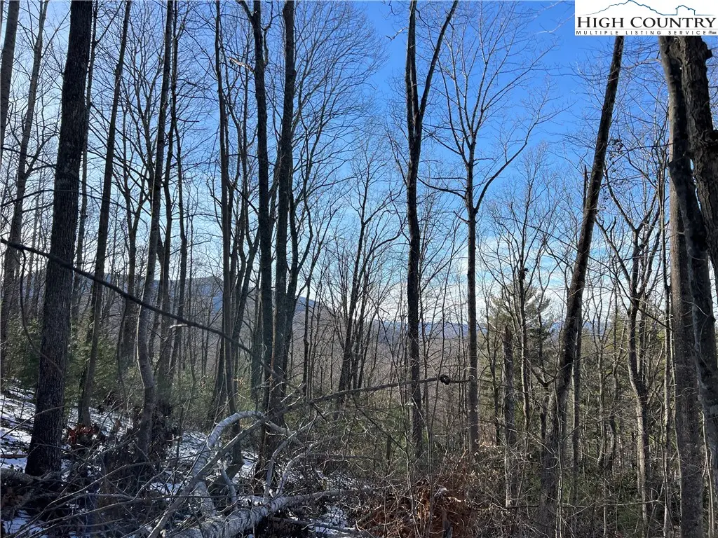 TBD (Lot 8) Woodland Ridge, Lansing, NC 28643 - #1