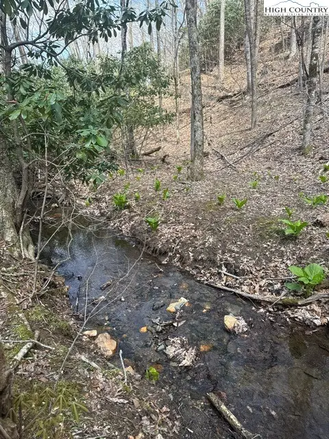 TBD Bald Mountain Road, West Jefferson, NC 28694 - #2