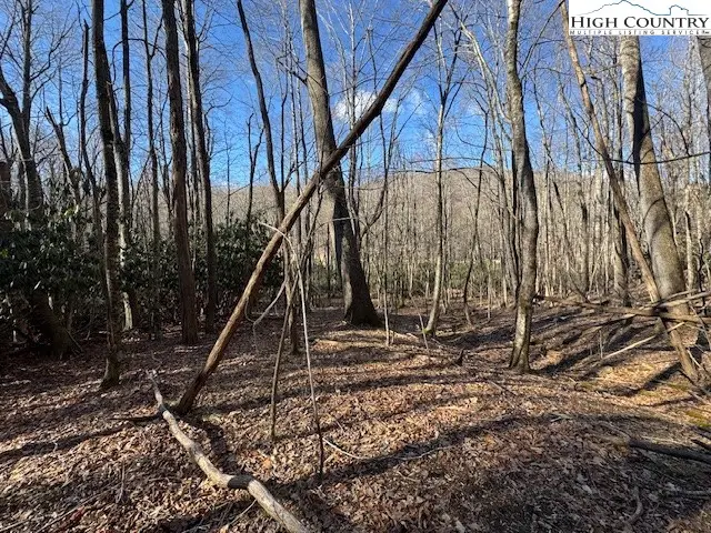 TBD Bald Mountain Road, West Jefferson, NC 28694 - #3