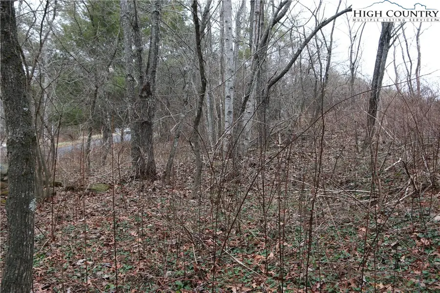 TBD Cedar Hill Drive, Crumpler, NC 28617 - #3